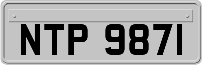 NTP9871
