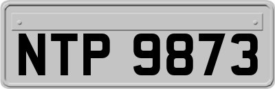NTP9873