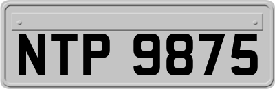 NTP9875