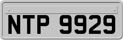 NTP9929
