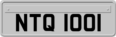 NTQ1001