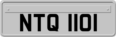 NTQ1101