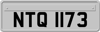 NTQ1173