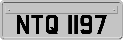 NTQ1197