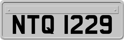 NTQ1229
