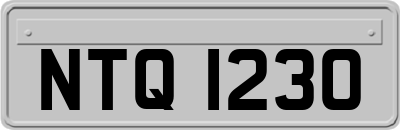 NTQ1230
