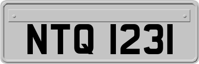 NTQ1231