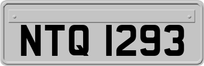 NTQ1293