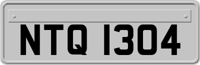 NTQ1304