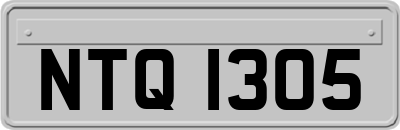 NTQ1305