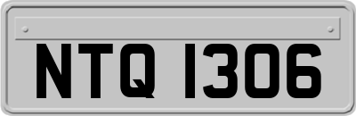 NTQ1306