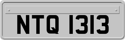 NTQ1313