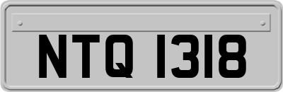NTQ1318