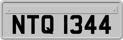 NTQ1344