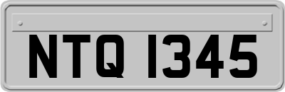 NTQ1345