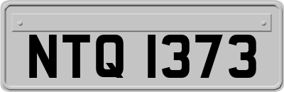 NTQ1373