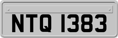NTQ1383