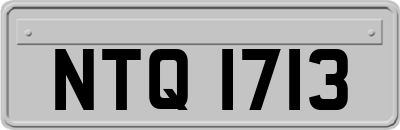 NTQ1713