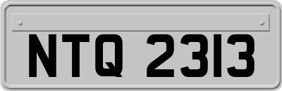 NTQ2313