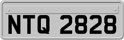 NTQ2828
