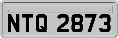 NTQ2873