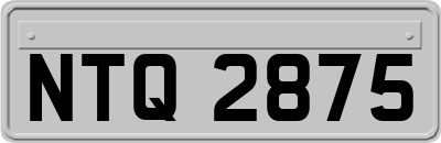NTQ2875