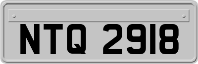NTQ2918