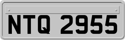 NTQ2955