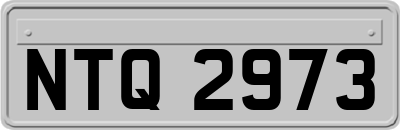 NTQ2973