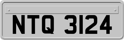 NTQ3124