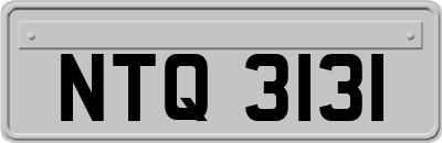 NTQ3131