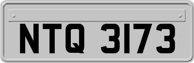 NTQ3173