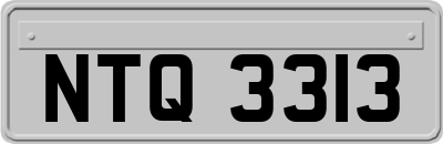 NTQ3313