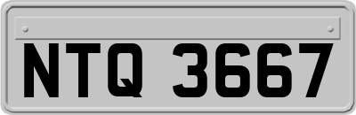 NTQ3667