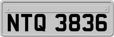 NTQ3836