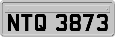 NTQ3873