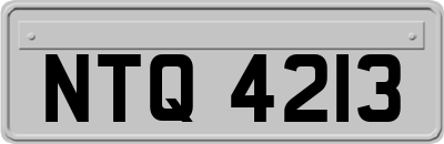 NTQ4213