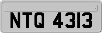 NTQ4313