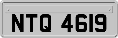 NTQ4619