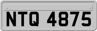 NTQ4875