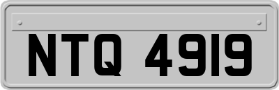 NTQ4919