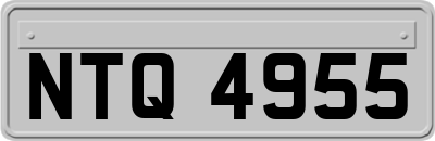 NTQ4955