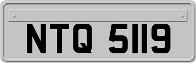 NTQ5119