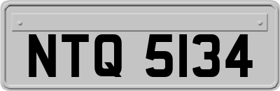NTQ5134
