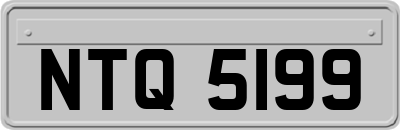 NTQ5199