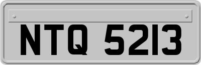 NTQ5213