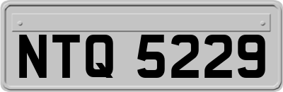 NTQ5229