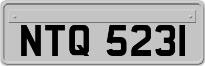 NTQ5231