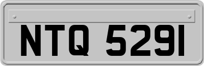 NTQ5291