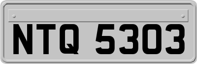 NTQ5303